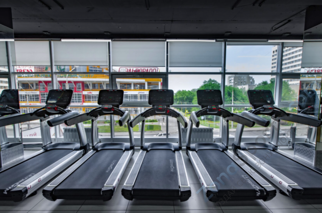 Беговая дорожка UltraGym UG-Power 008