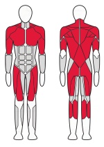 6-и функциональный тренажер Fitex Pro FTX-5336
