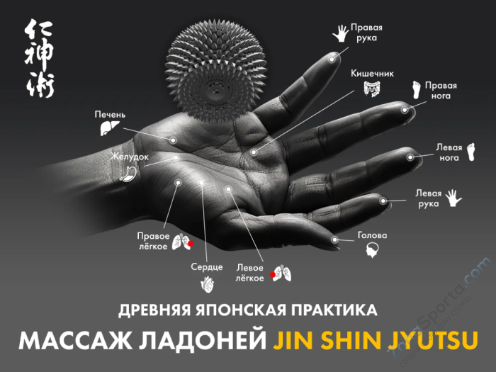 Массажное кресло Fujimo Guru2 Коричневый