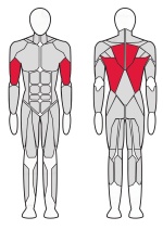 Нижняя тяга Fitex Pro FTX-61F13