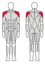 Тренажер Жим вверх Fitex FTX-82002