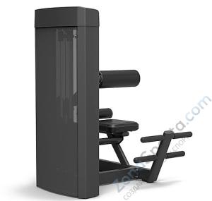 Разгибание спины Spirit SP-4310