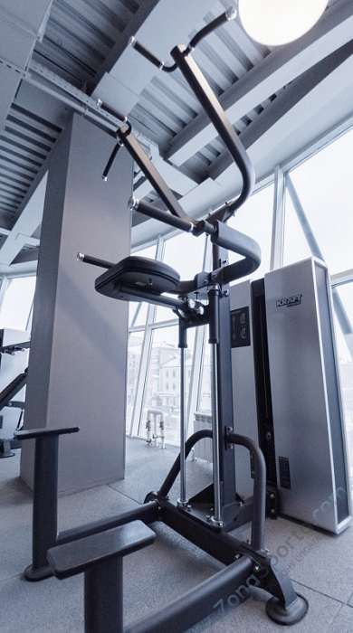 Силовой тренажер Подтягивание/отжимание  Kraft Fitness KFDXDCA