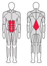 Скамья для пресса Comdi V-Sport ST004