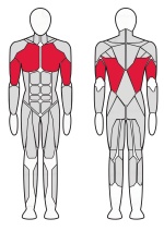 Стойка турник-брусья-пресс Fitex Pro Optima FTX-61A45A