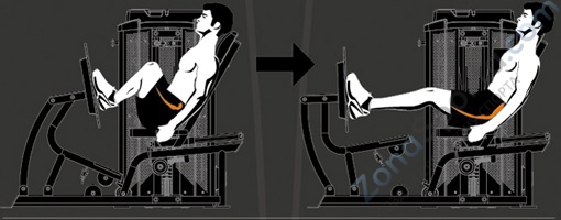 Жим ногами Steel Flex Hope HLP500