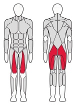 Жим ногами вверх Fitex FTX-82042